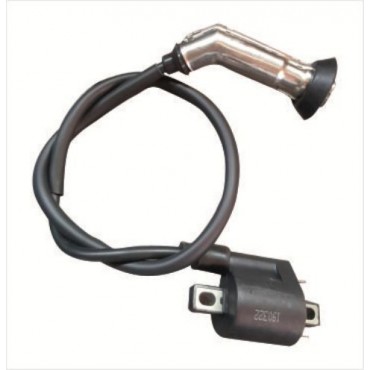 Arora Cappucino 50Cc Ve 125Cc  Ateşleme Bobi̇ni̇ (Euro 5)